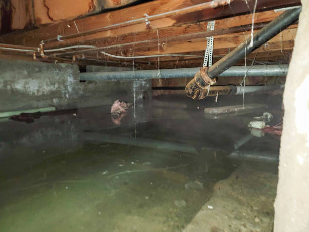Best 24/7 water damage repair  in Baiting Hollow, NY