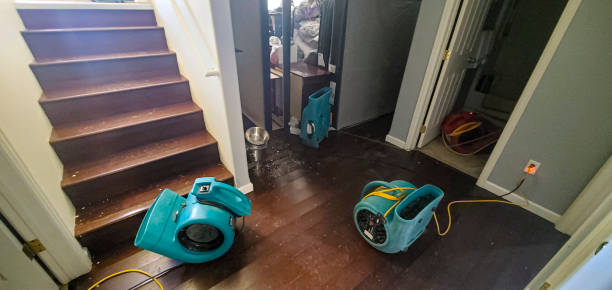 Best Carpet water damage restoration  in Baiting Hollow, NY