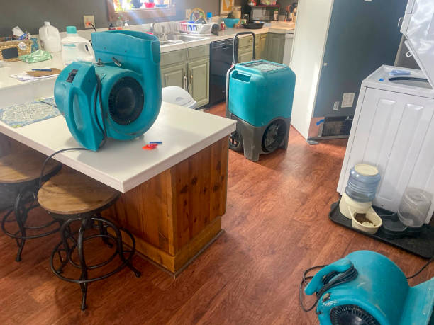 Best Basement water damage restoration  in Baiting Hollow, NY