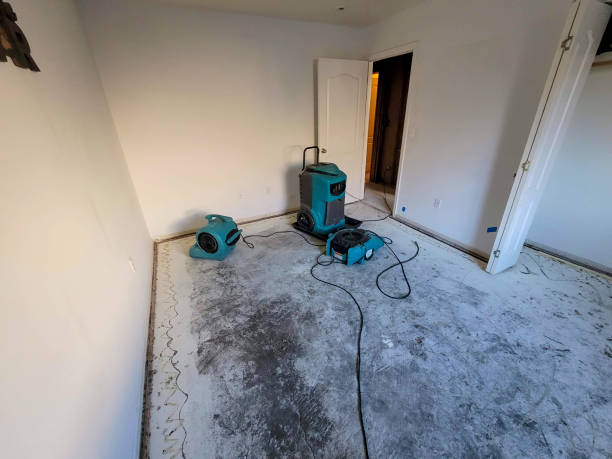 Best Local water damage restoration  in Baiting Hollow, NY