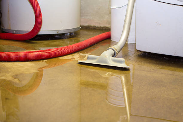 Best Water damage restoration near me  in Baiting Hollow, NY
