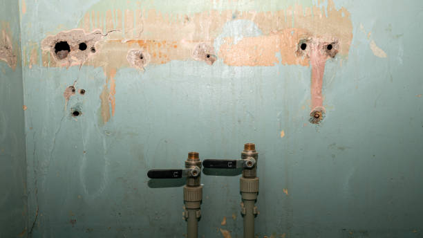 Best Mold removal after water damage  in Baiting Hollow, NY
